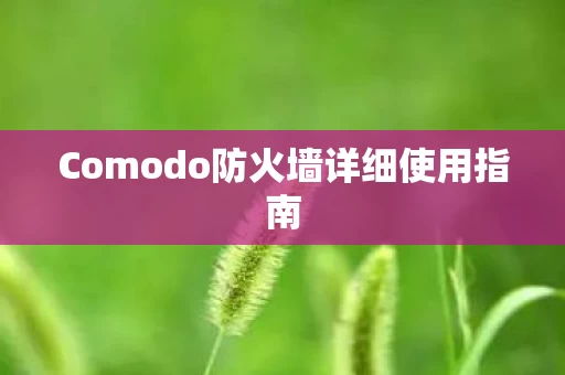 Comodo防火墙详细使用指南图片