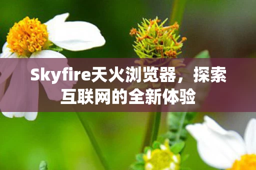 Skyfire天火浏览器图片