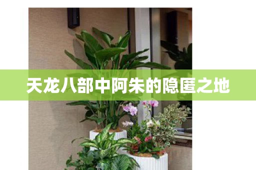 天龙八部中阿朱的隐匿之地图片
