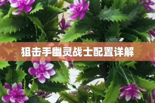 狙击手幽灵战士配置详解图片