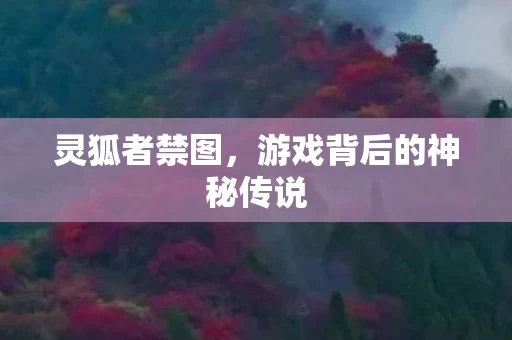 游戏背后的神秘传说图片