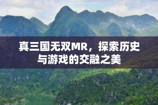 探索历史与游戏的交融之美图片