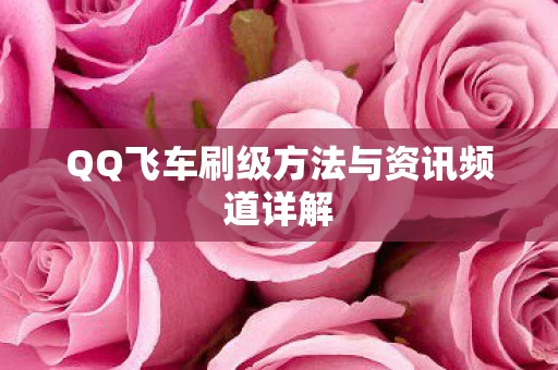 QQ飞车刷级方法与资讯频道详解图片
