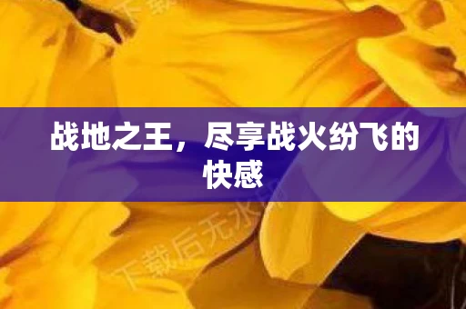 尽享战火纷飞的快感图片