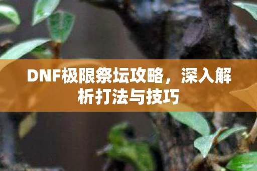 DNF极限祭坛攻略图片