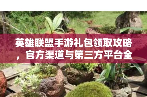 官方渠道与第三方平台全面解析图片