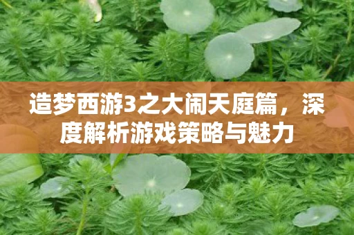 造梦西游3之大闹天庭篇图片
