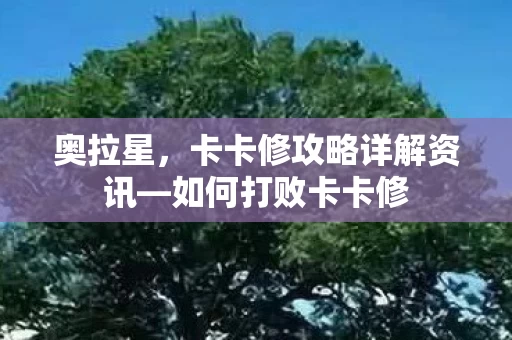 卡卡修攻略详解资讯图片