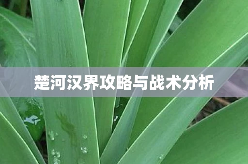 楚河汉界攻略与战术分析图片