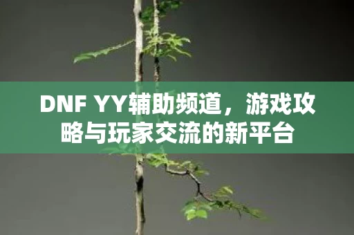 游戏攻略与玩家交流的新平台图片