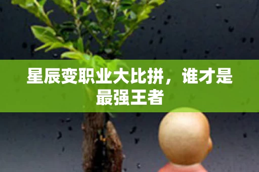 星辰变职业大比拼图片