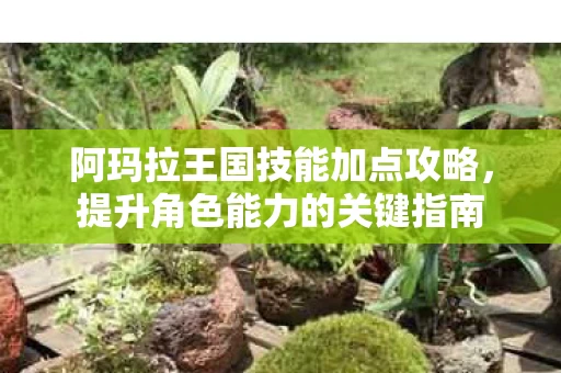 阿玛拉王国技能加点攻略图片