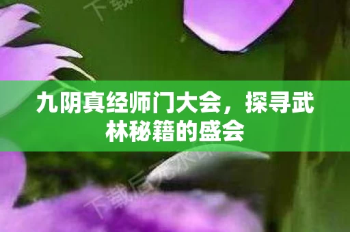 探寻武林秘籍的盛会图片