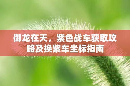 紫色战车获取攻略及换紫车坐标指南图片