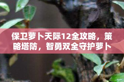 保卫萝卜天际12全攻略图片