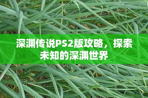 深渊传说PS2版攻略图片