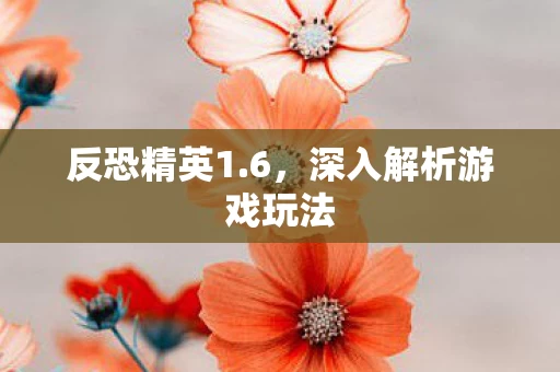 深入解析游戏玩法图片