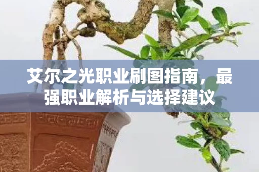 最强职业解析与选择建议图片