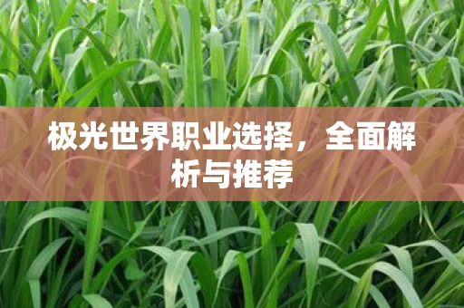 极光世界职业选择图片