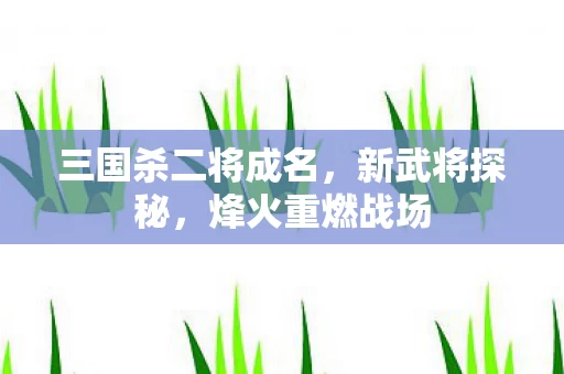 三国杀二将成名图片