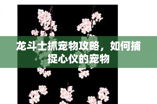 如何捕捉心仪的宠物图片