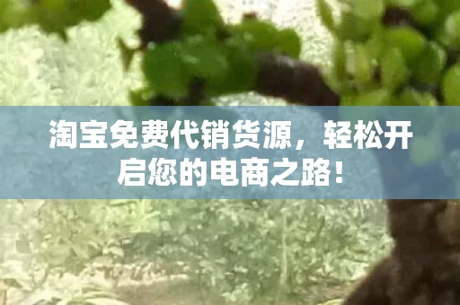 轻松开启您的电商之路图片