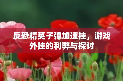 游戏外挂的利弊与探讨图片