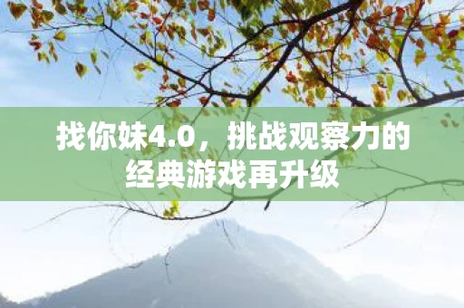 挑战观察力的经典游戏再升级图片