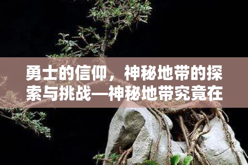 神秘地带的探索与挑战图片