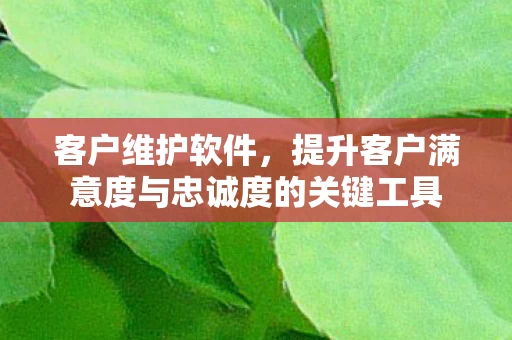 提升客户满意度与忠诚度的关键工具图片