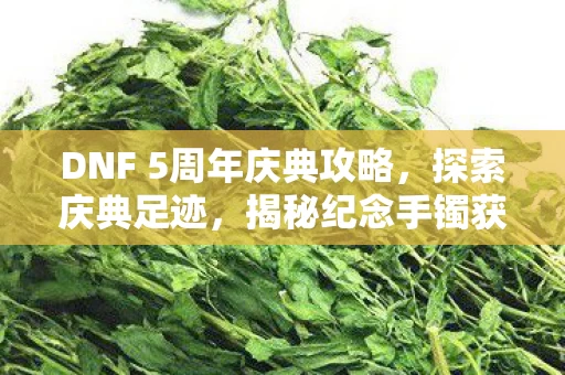 DNF 5周年庆典攻略图片