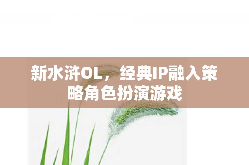 经典IP融入策略角色扮演游戏图片