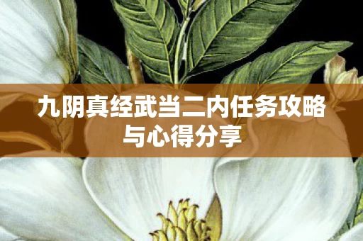 九阴真经武当二内任务攻略与心得分享图片