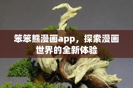 探索漫画世界的全新体验图片