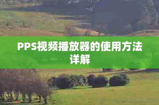 PPS视频播放器的使用方法详解图片