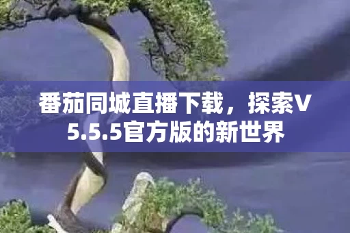 番茄同城直播下载图片