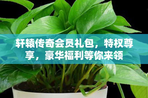 轩辕传奇会员礼包图片