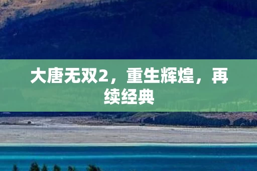 大唐无双2图片