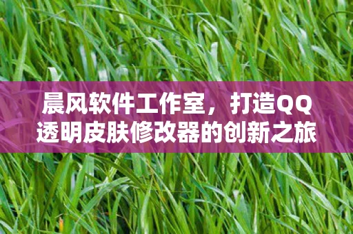 打造QQ透明皮肤修改器的创新之旅图片