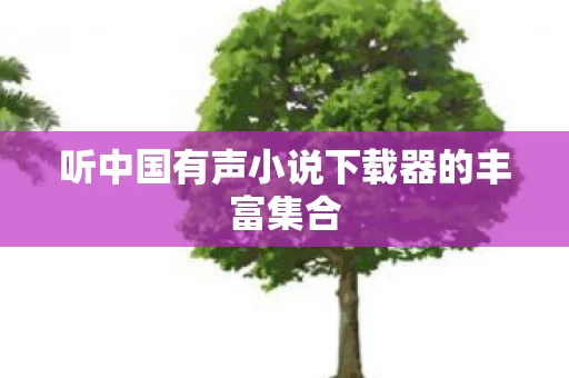 听中国有声小说下载器的丰富集合图片