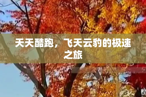 飞天云豹的极速之旅图片