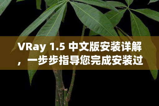 一步步指导您完成安装过程图片