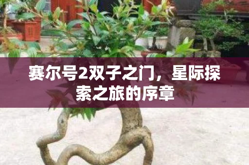 星际探索之旅的序章图片