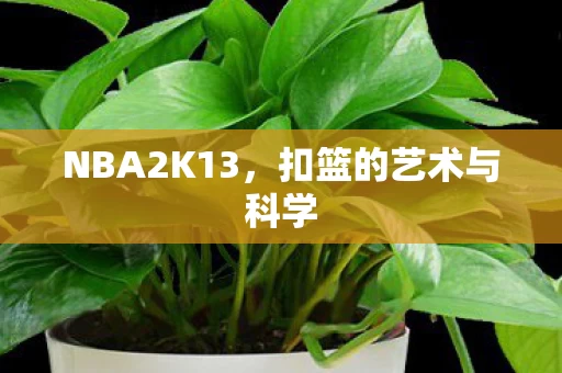 扣篮的艺术与科学图片