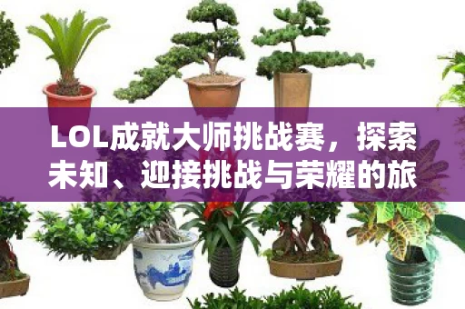 LOL成就大师挑战赛图片