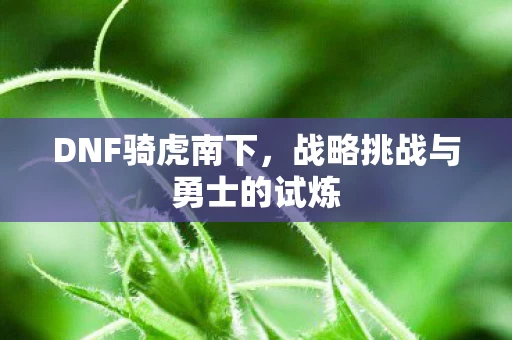 战略挑战与勇士的试炼图片