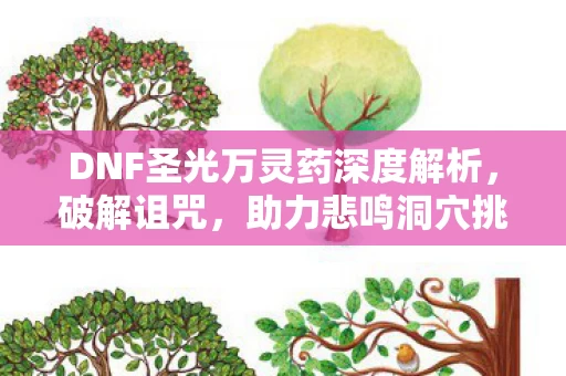 DNF圣光万灵药深度解析图片
