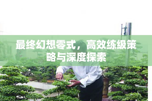 高效练级策略与深度探索图片