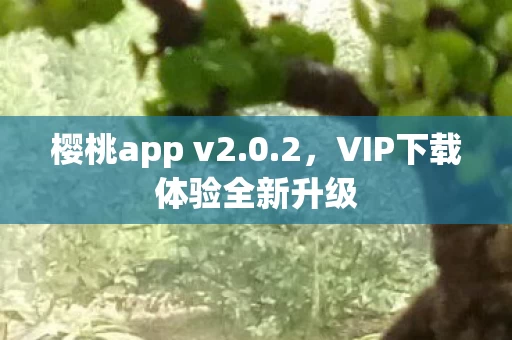 VIP下载体验全新升级图片