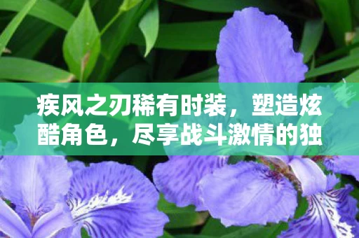 尽享战斗激情的独特体验图片